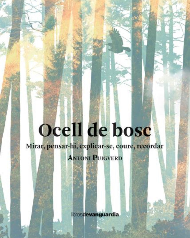 Ocell De Bosc