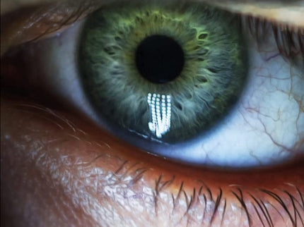 El Poeta De Ojos Verdes