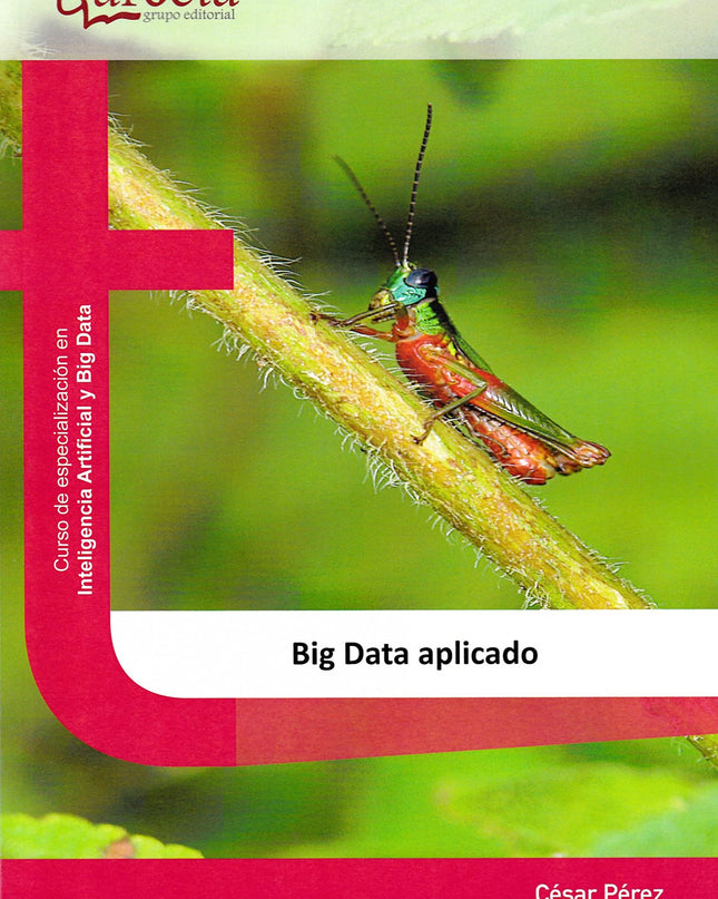 Big Data Aplicado