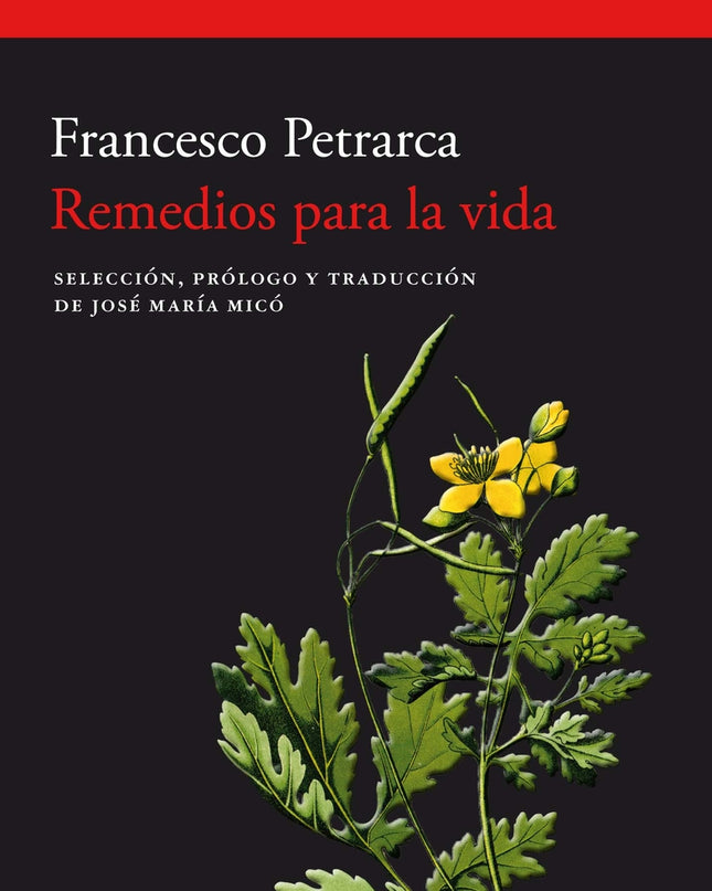 Remedios Para La Vida