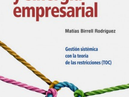 Sincronizacion Y Sinergia Empresarial:gestion Sistematica
