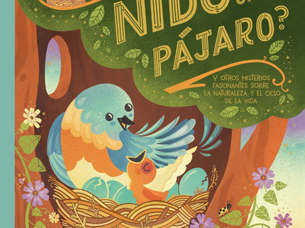 ¿qué Esconde El Nido De Un Pájaro?