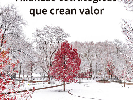 Alianzas Estratégicas Que Crean Valor