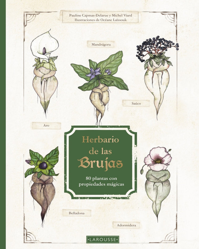 Herbario De Las Brujas