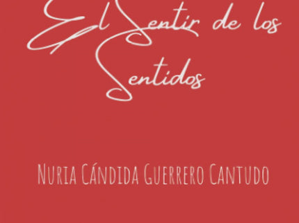 El Sentir De Los Sentidos