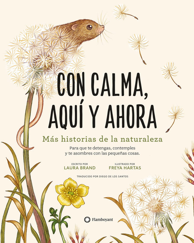 Con Calma, Aqui Y Ahora