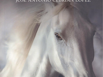 El Nombre