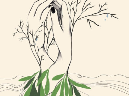 Raíces De Baobab
