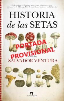 Historia De Las Setas