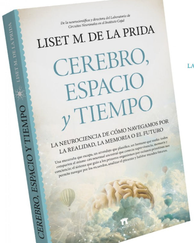 Cerebro, Espacio Y Tiempo