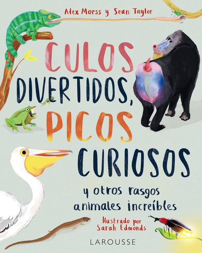 Culos Divertidos, Picos Curiosos