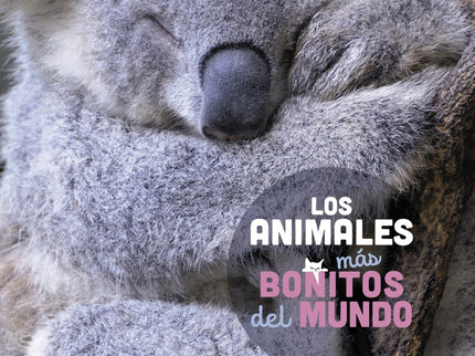 Los Animales Más Bonitos Del Mundo