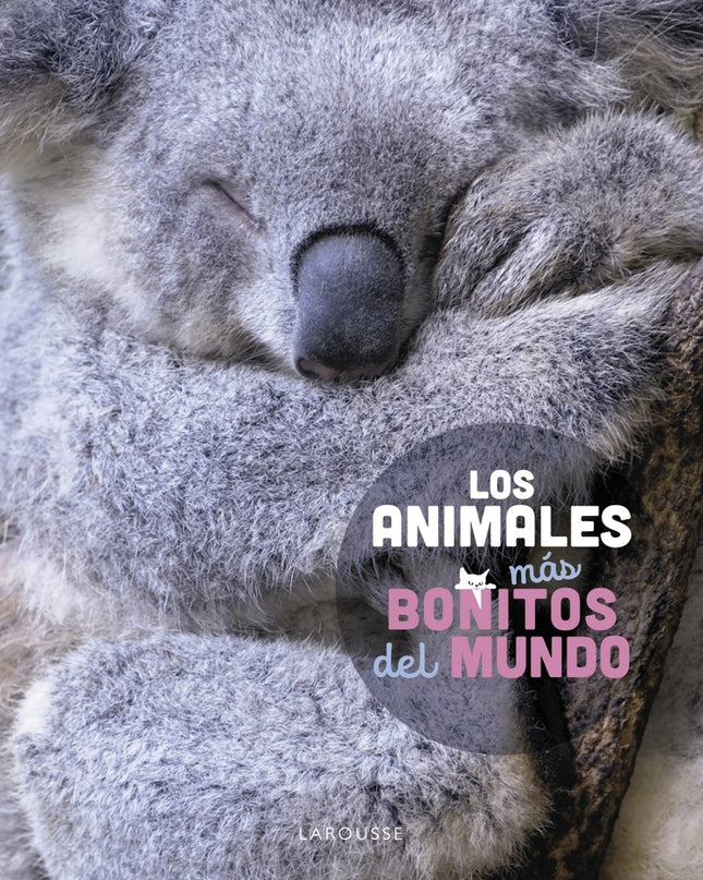 Los Animales Más Bonitos Del Mundo
