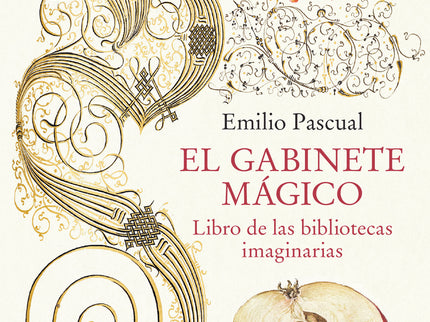 Gabinete Magico:libro De Las Bibliotecas Imaginarias