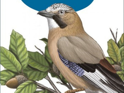 Mi Primera Guia De Aves De España