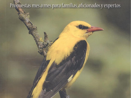 Cuando Y Donde Ver Aves En Murcia