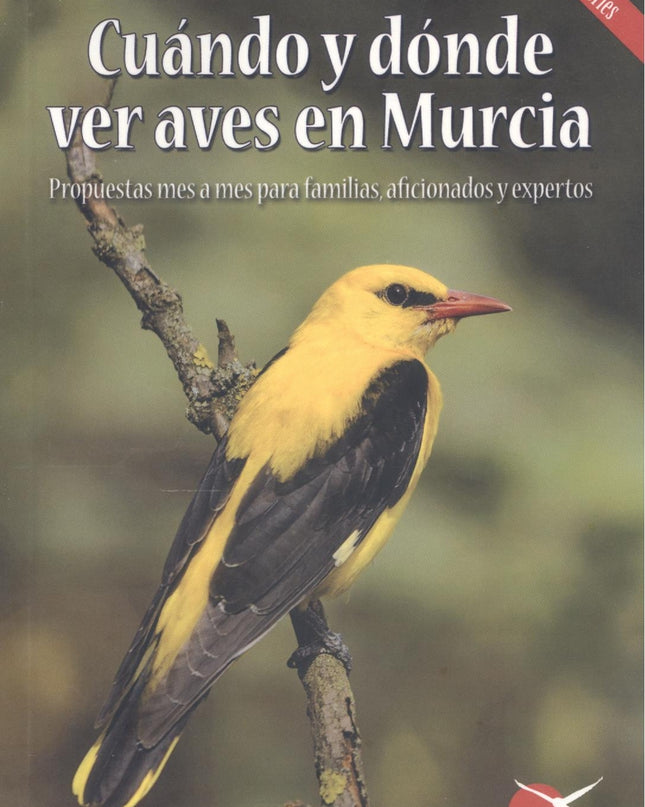 Cuando Y Donde Ver Aves En Murcia