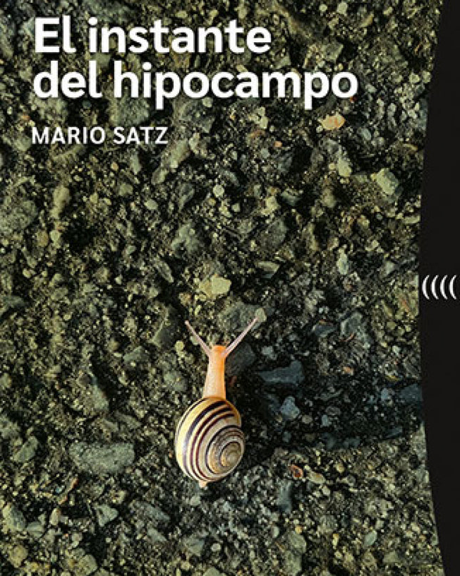 El Instante Del Hipocampo