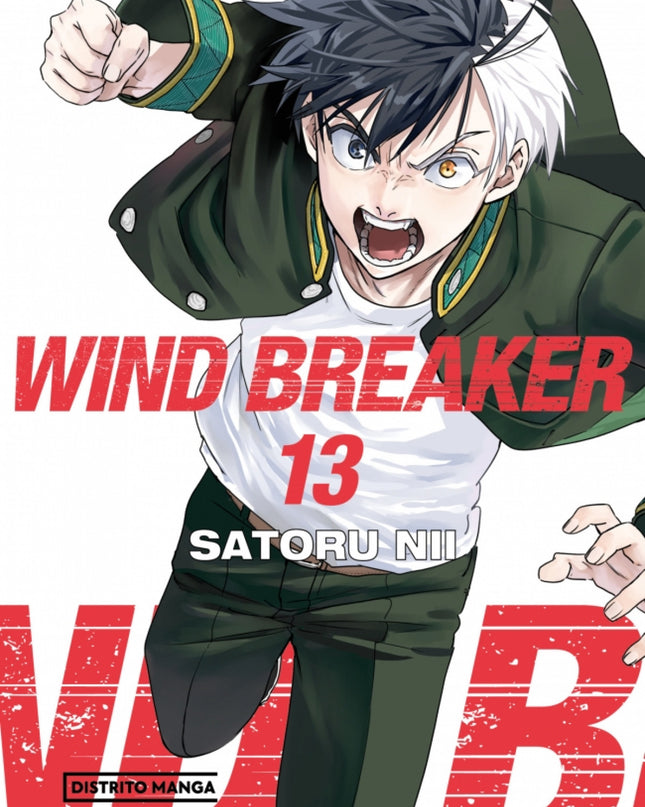 Wind Breaker 13