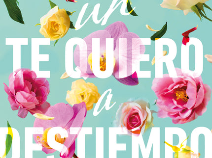 Un Te Quiero A Destiempo