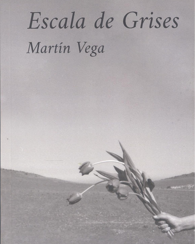 Escala De Grises