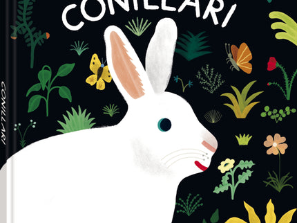 Conillari