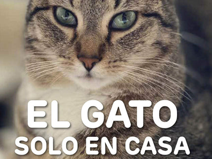 El Gato Solo En Casa