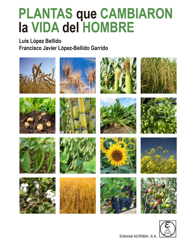 Plantas Que Cambiaron La Vida Del Hombre