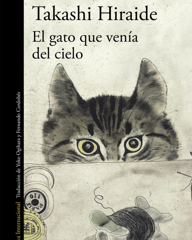 El Gato Que Venía Del Cielo