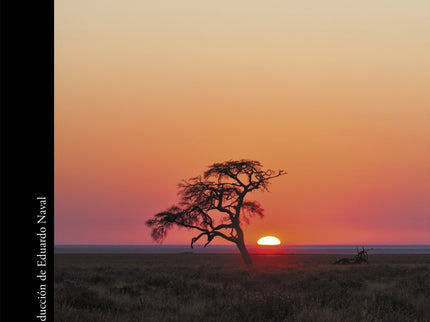 Tierra Sonámbula