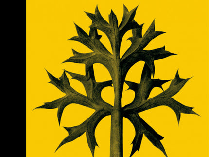 Ordesa