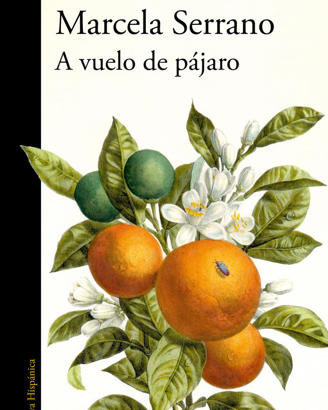 A Vuelo De Pájaro