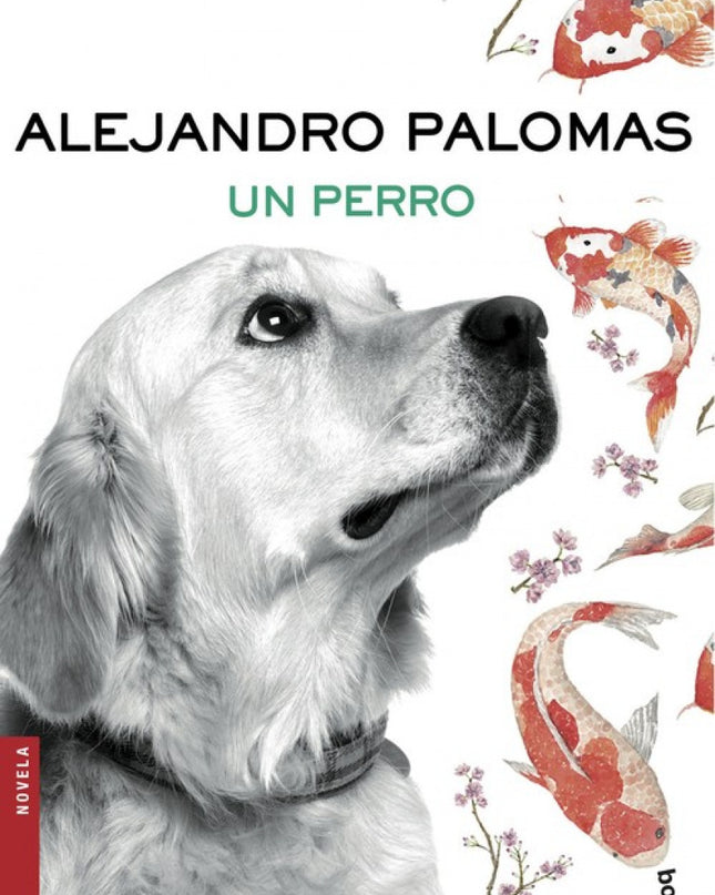 Un Perro