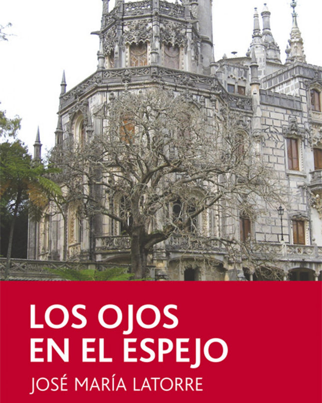Los Ojos En El Espejo
