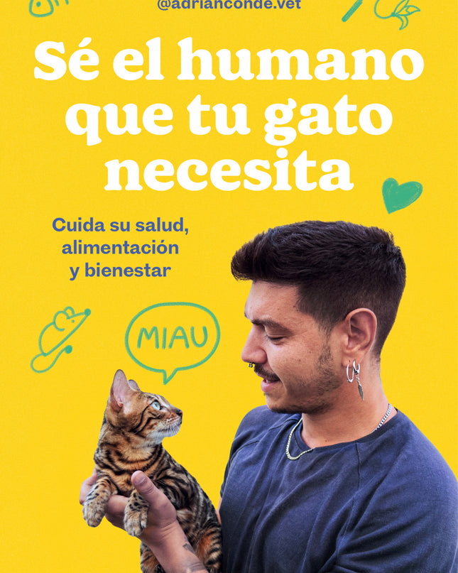 Sé El Humano Que Tu Gato Necesita