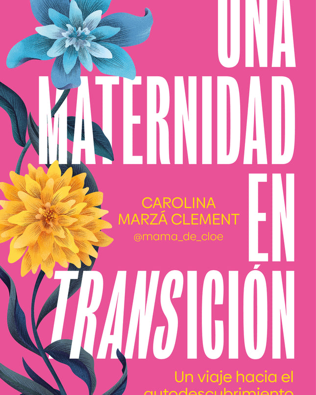 Una Maternidad En Transición