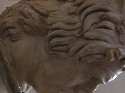 Sociedad Paliativa, La