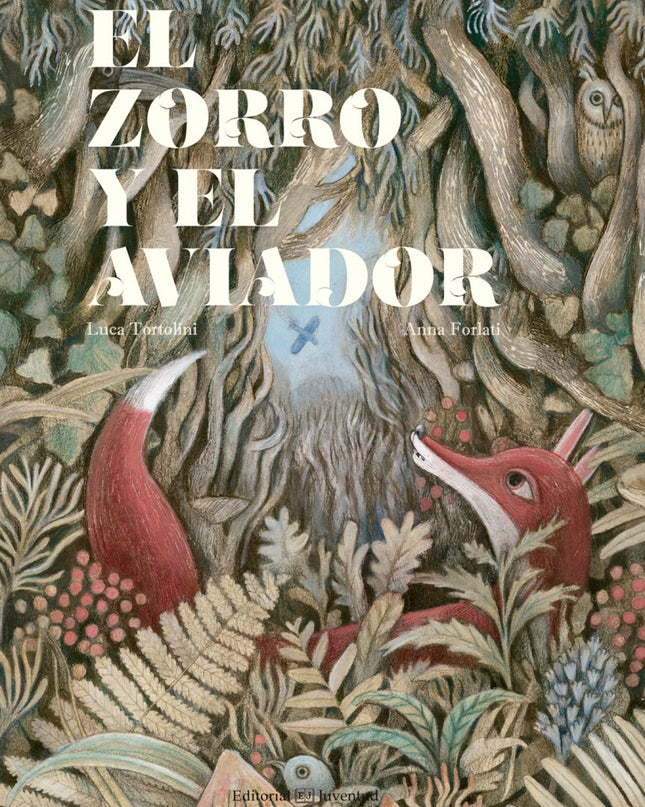 El Zorro Y El Aviador