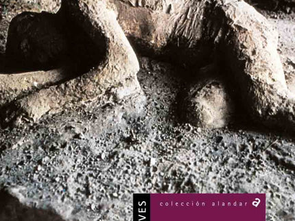 El Ultimo Crimen De Pompeya