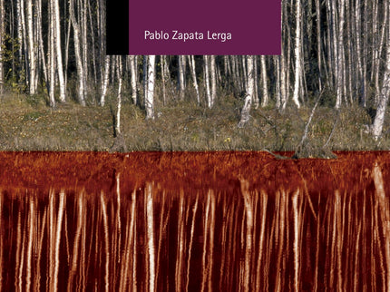 La Cueva Del Toloño