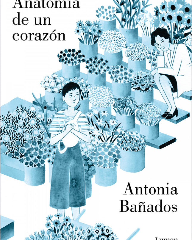 Anatomía De Un Corazón