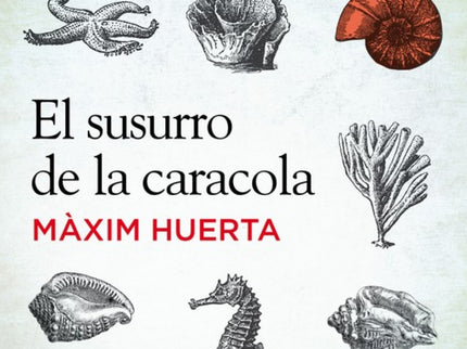 El Susurro De La Caracola