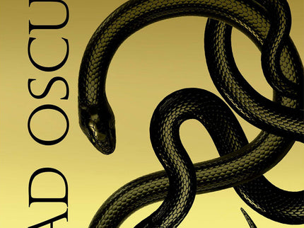 Edad Oscura (oro Y Ceniza 2)
