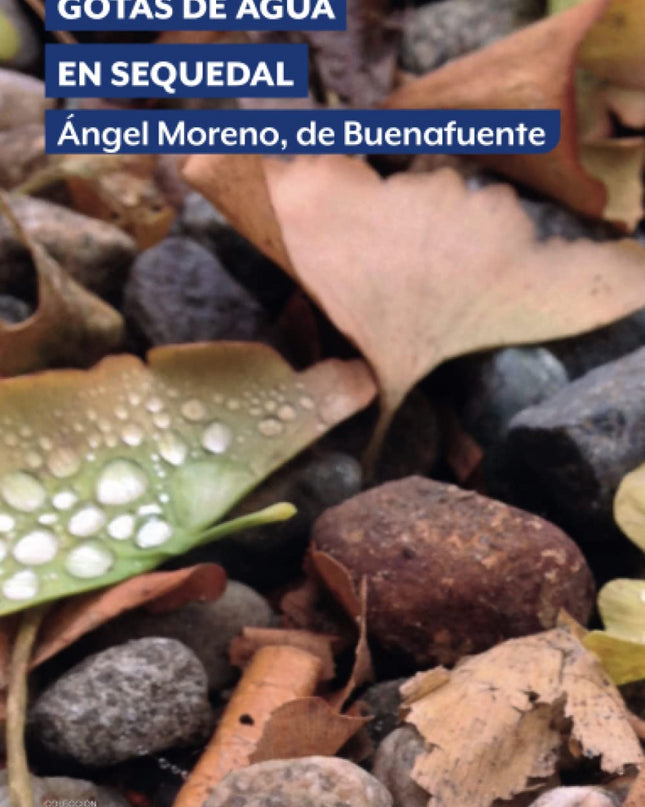 Gotas De Agua En Sequedal