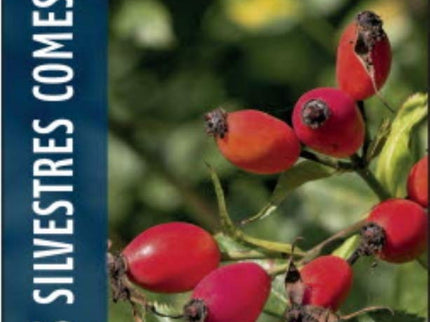 Plantas Silvestres Comestibles
