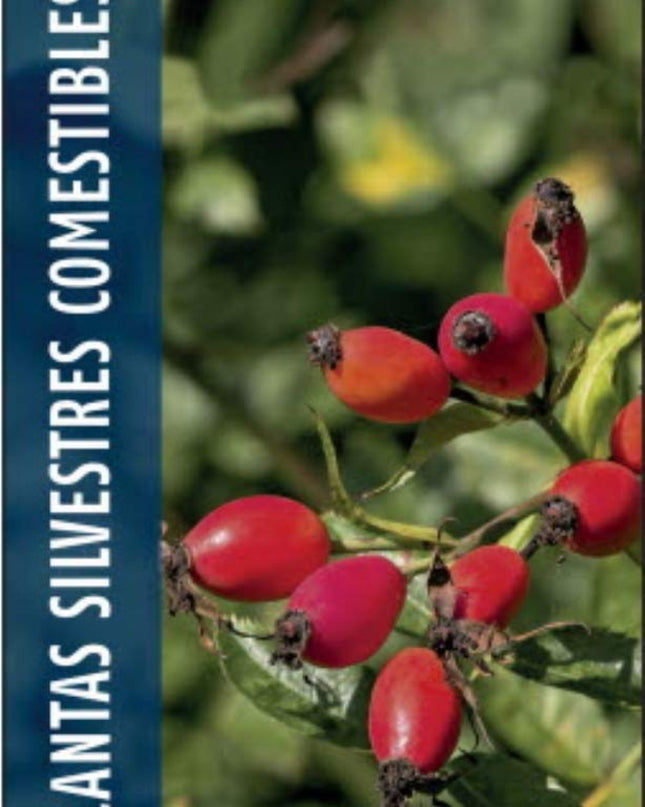 Plantas Silvestres Comestibles