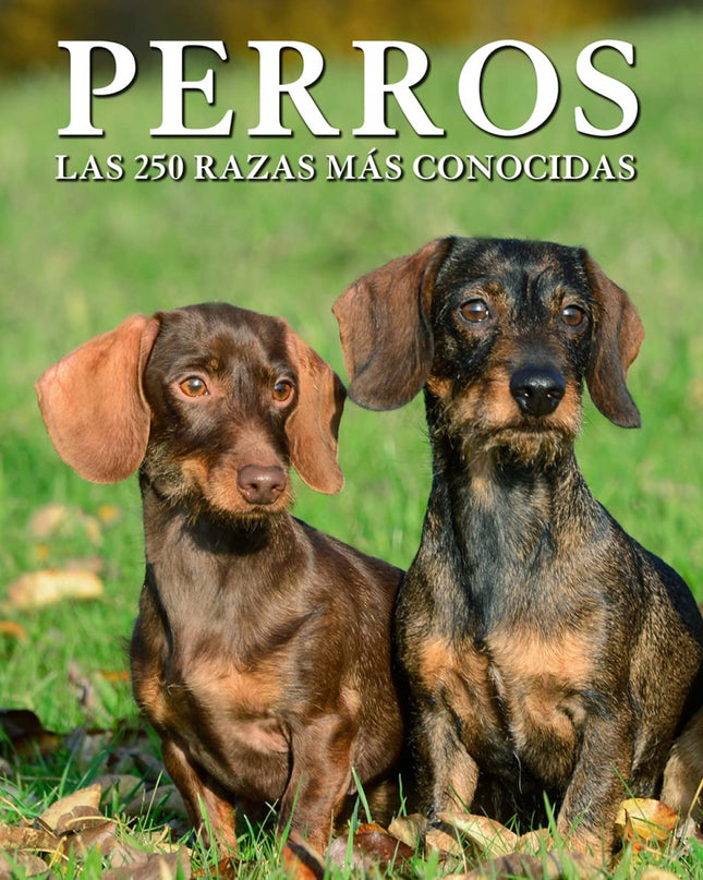 Perros Las 250 Razas Mas Conocidas