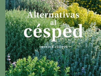 Alternativas Al Cesped