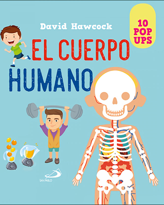Cuerpo Humano