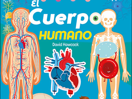 El Cuerpo Humano